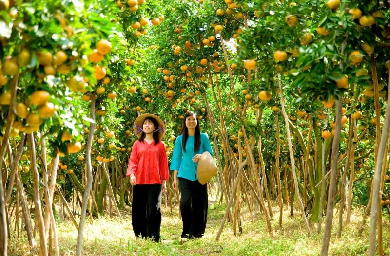 Du lịch miệt vườn bốn mùa trái ngọt