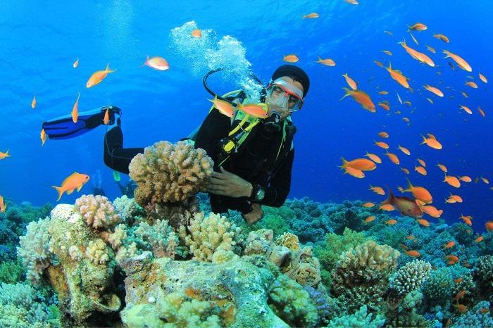Du khách trải nghiệm hoạt động lặn ngắm san hô dưới biển